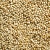 Barnyard Millet