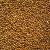 Kodo Millet