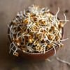 Sprouted Horse Gram